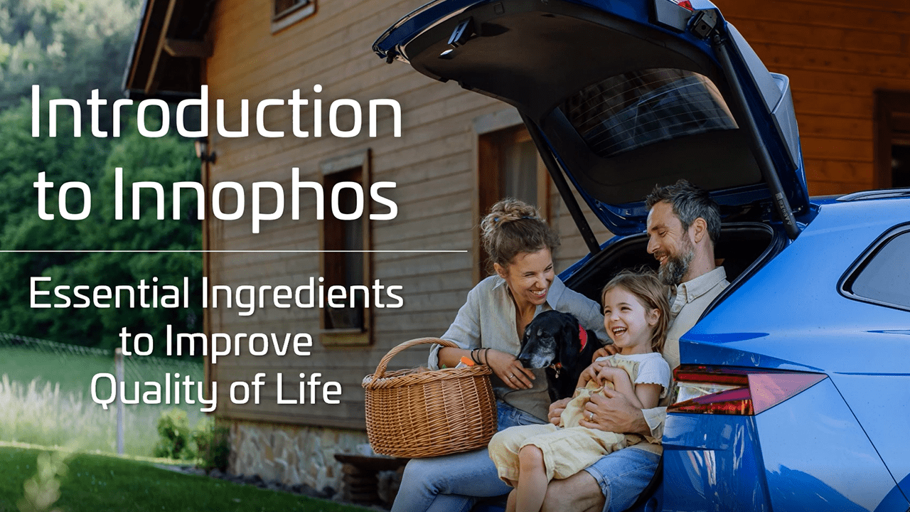 Family getting ready for a picnic