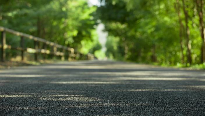 Sunlit forest road with trees and a wooden fence, viewed from a low angle
