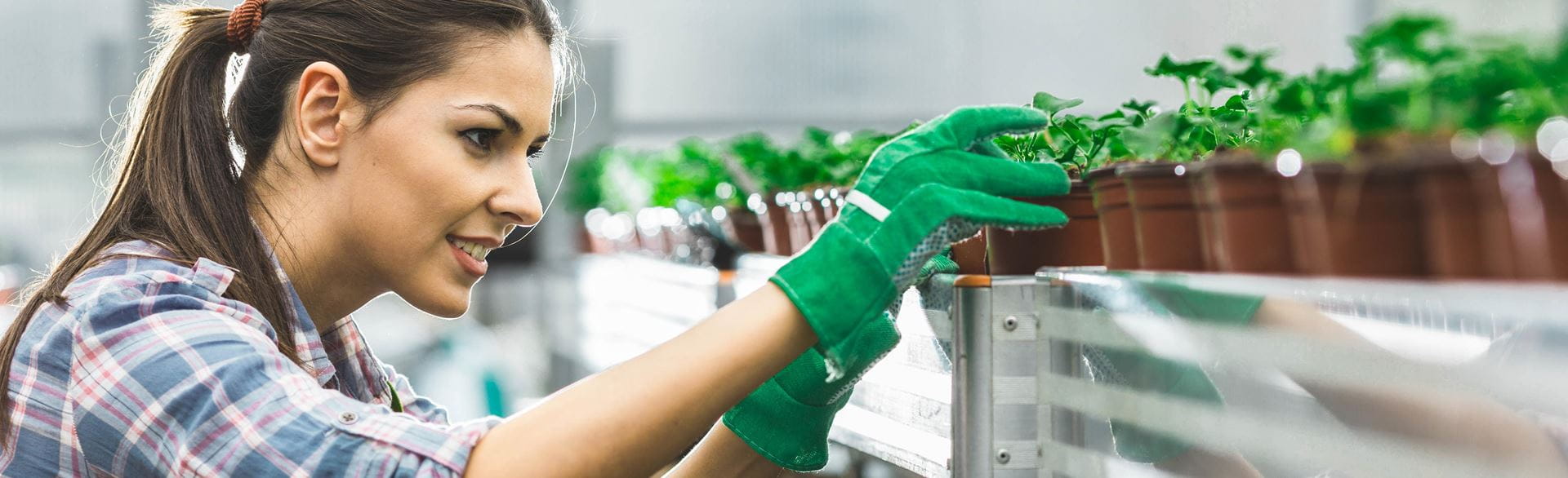 Plant Nutrition