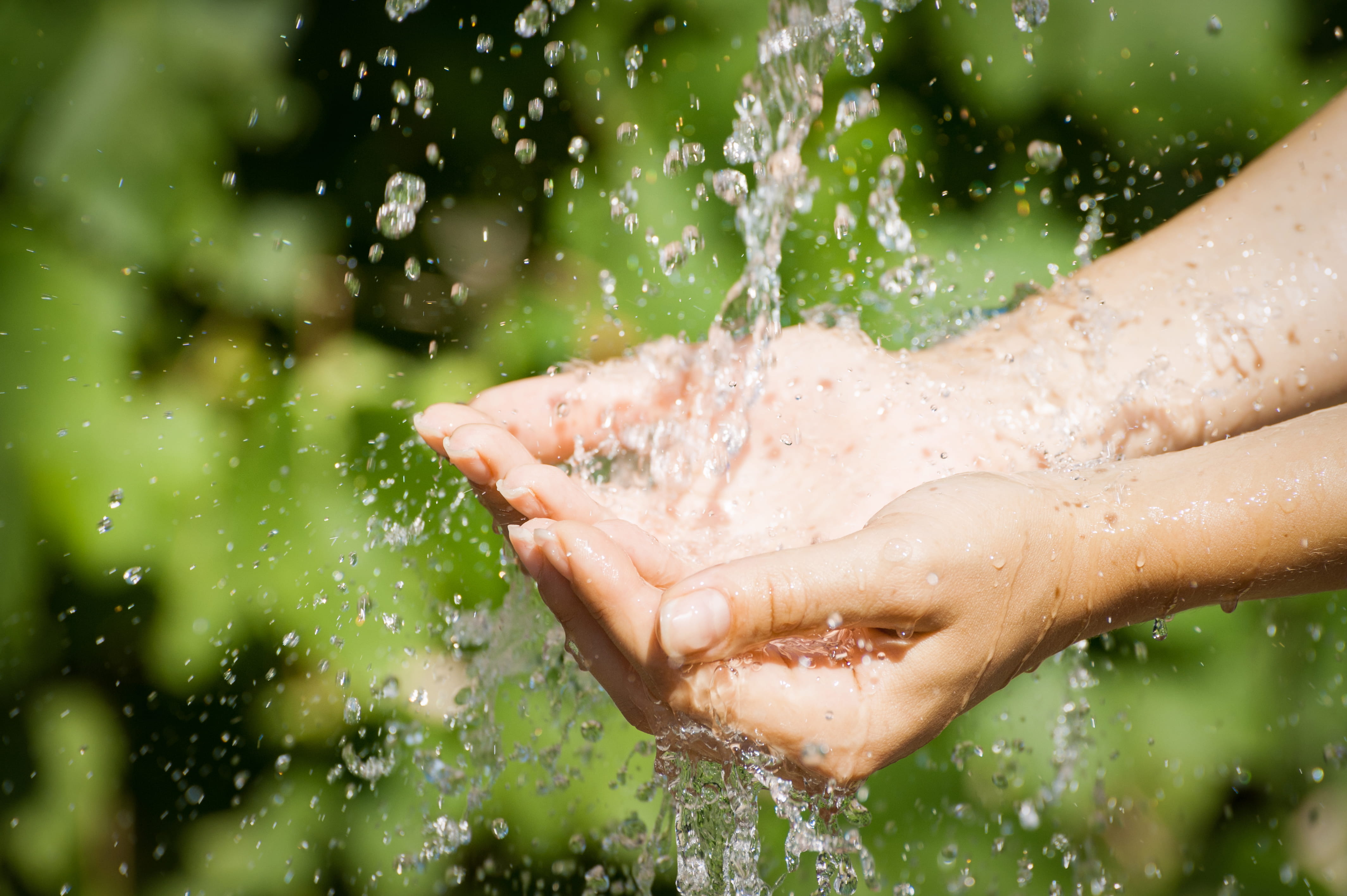 Cupped hands catching splashing water with greenery in the background.