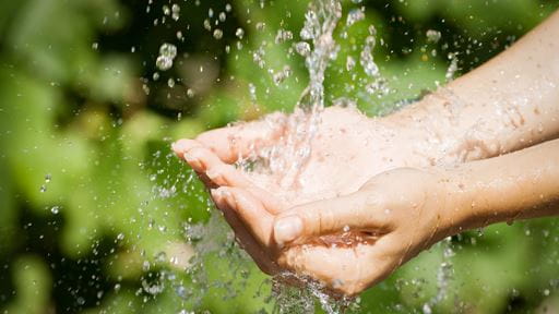 Cupped hands catching splashing water with greenery in the background.