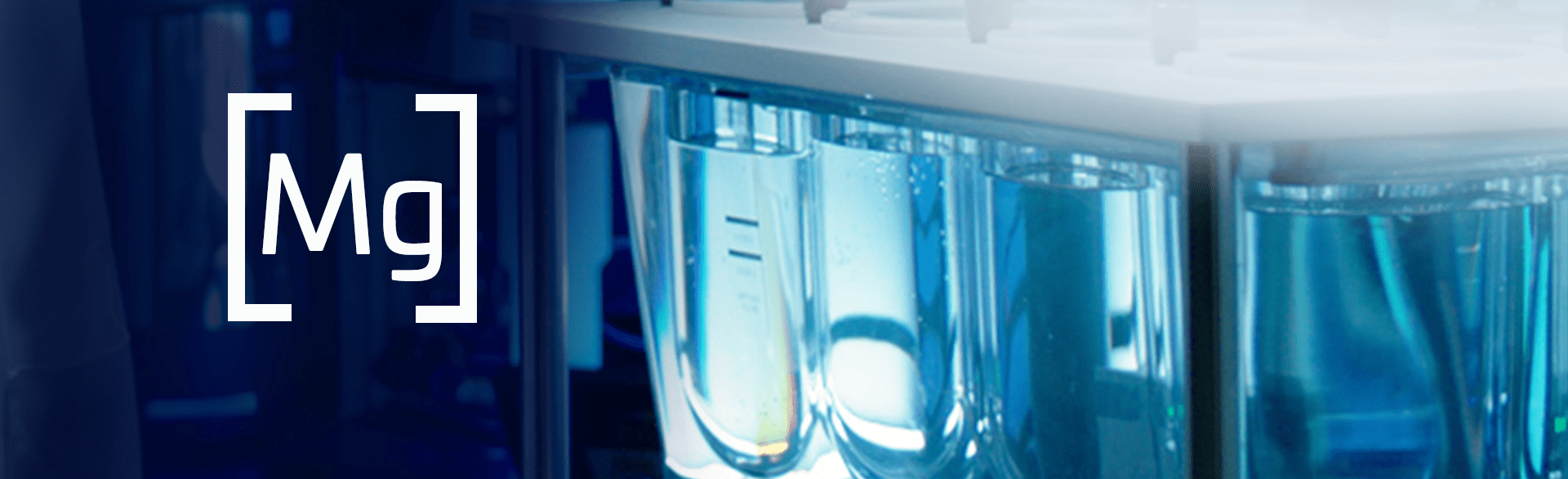 Chelated Magnesium Mineral Ingredients