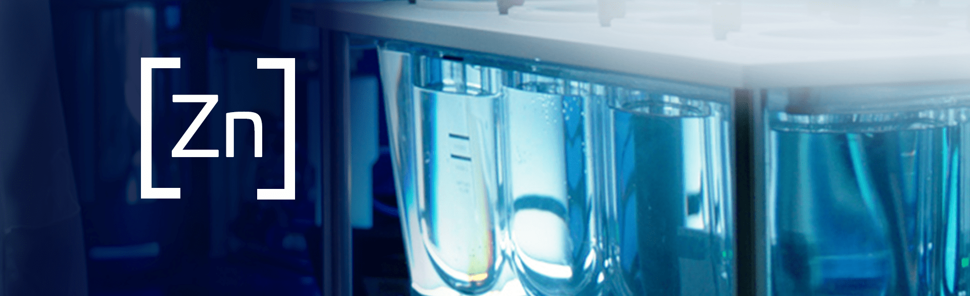 Chelated Zinc Mineral Ingredients