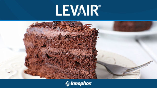 Chocolate cake slice labeled “LEVAIR”