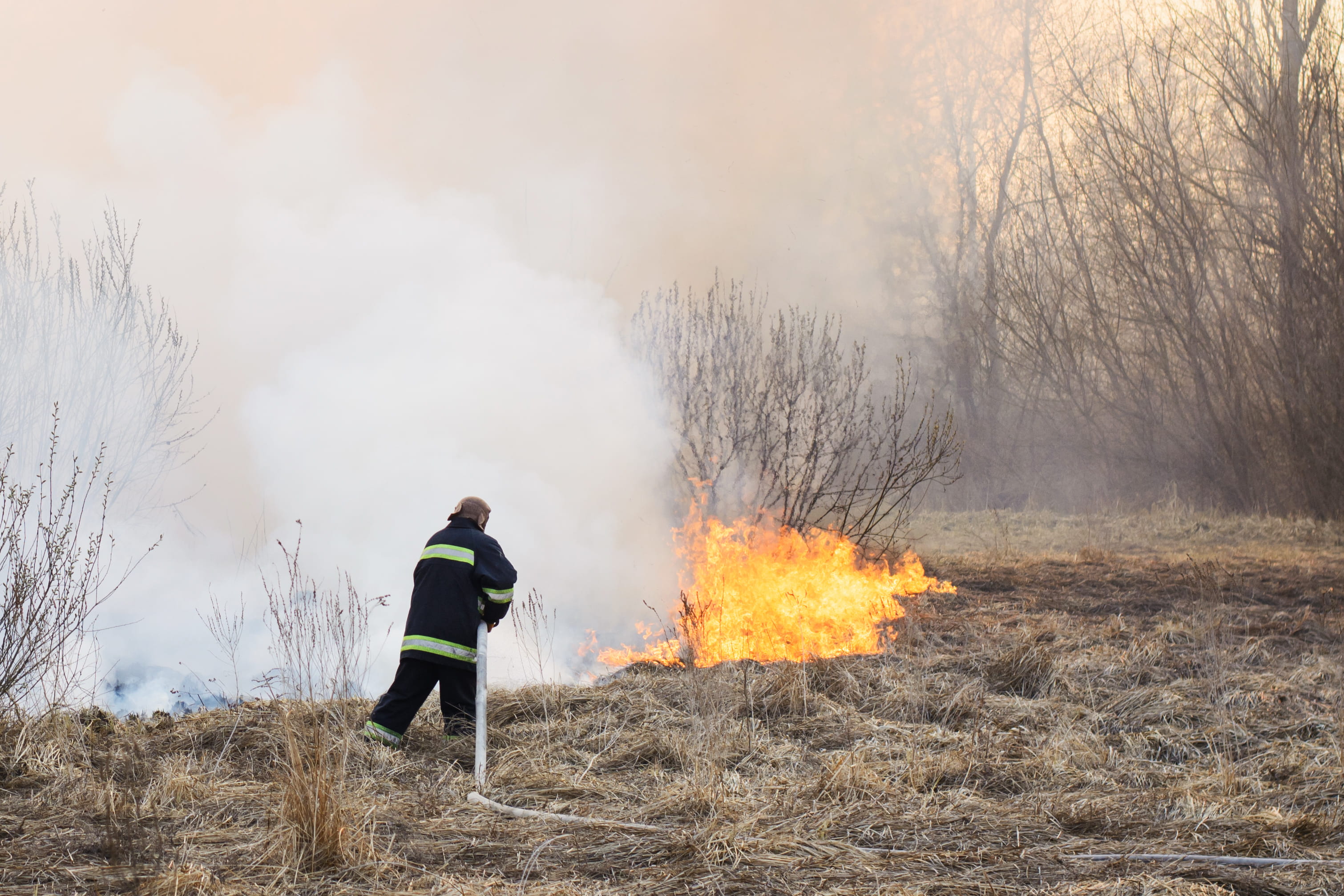Firefighter using hose to put out grass fire in dry field.