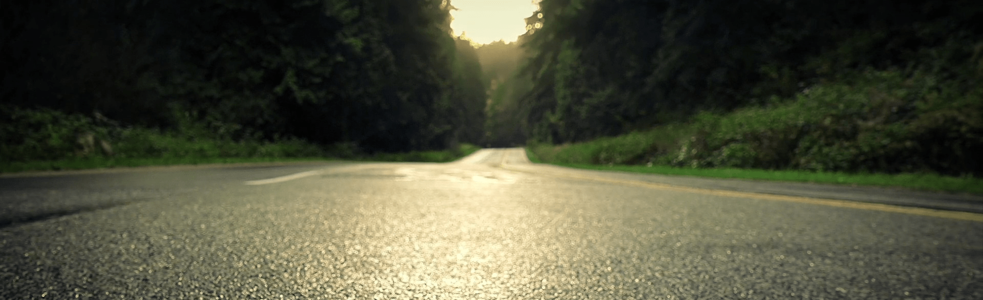 Asphalt road in nature with sun shining on it