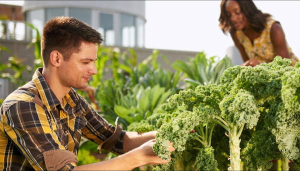 Man and Woman in Field