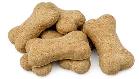 Pile of bone-shaped dog biscuits stacked on a plain background.