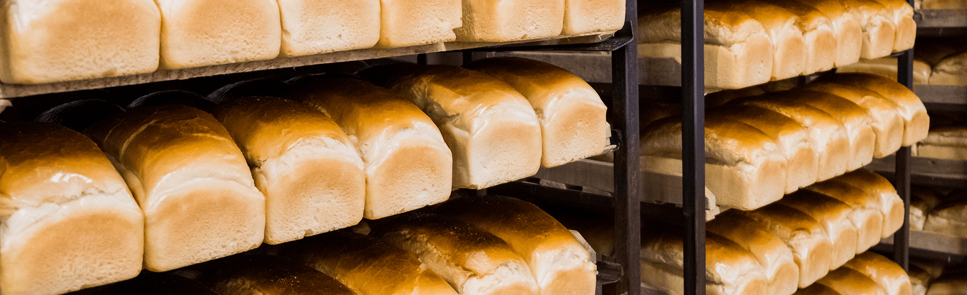 Trays of baked bread