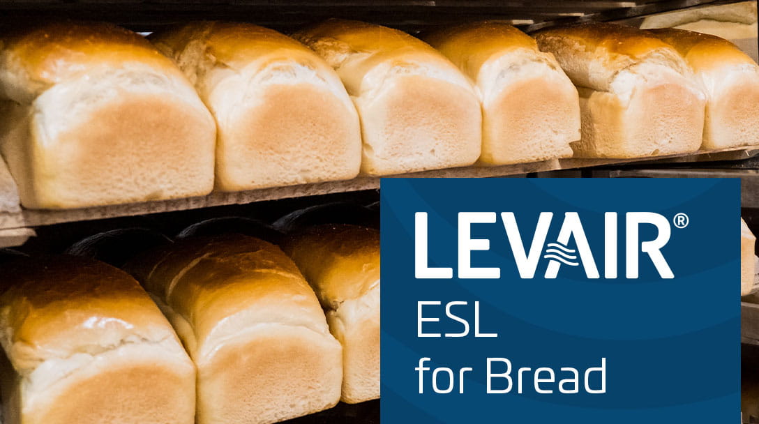 A tray of baked bread