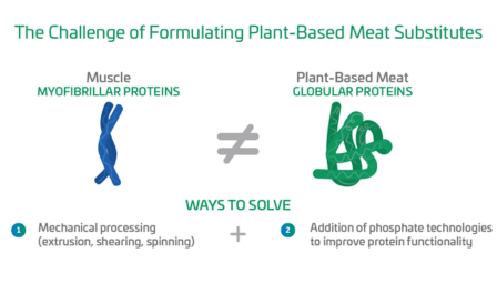 Graphic contrasting myofibrillar proteins and globular proteins