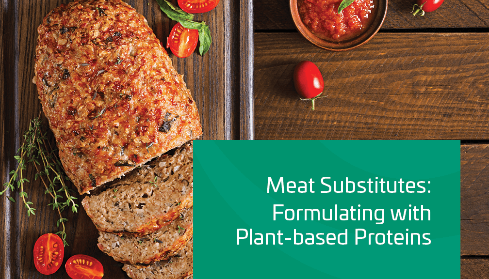 Presentation slide titled 'Solutions for Plant-Based Meat Substitutes' with sliced loaf and garnishes