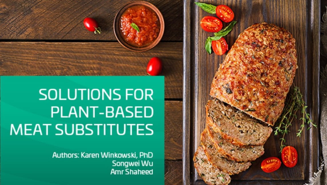 Presentation slide titled 'Solutions for Plant-Based Meat Substitutes' with sliced loaf and garnishes