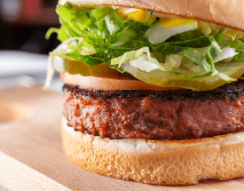 Plant Based Burger