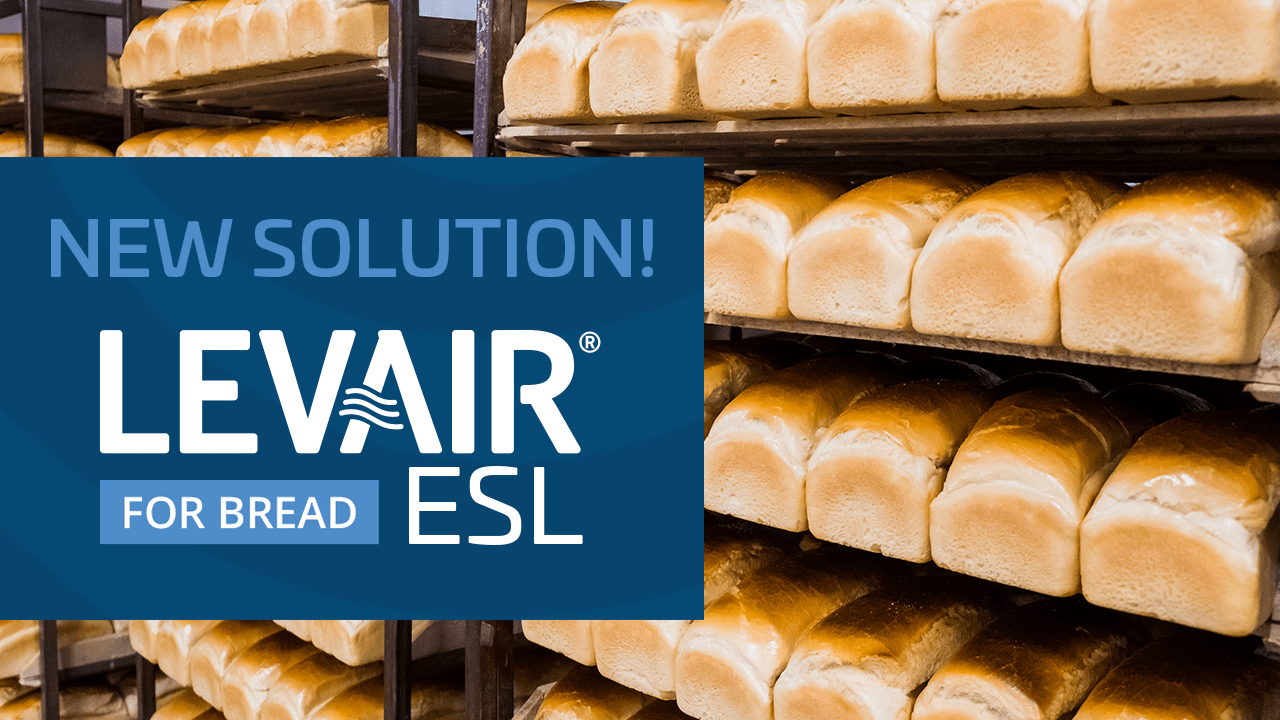 Racks of baked bread