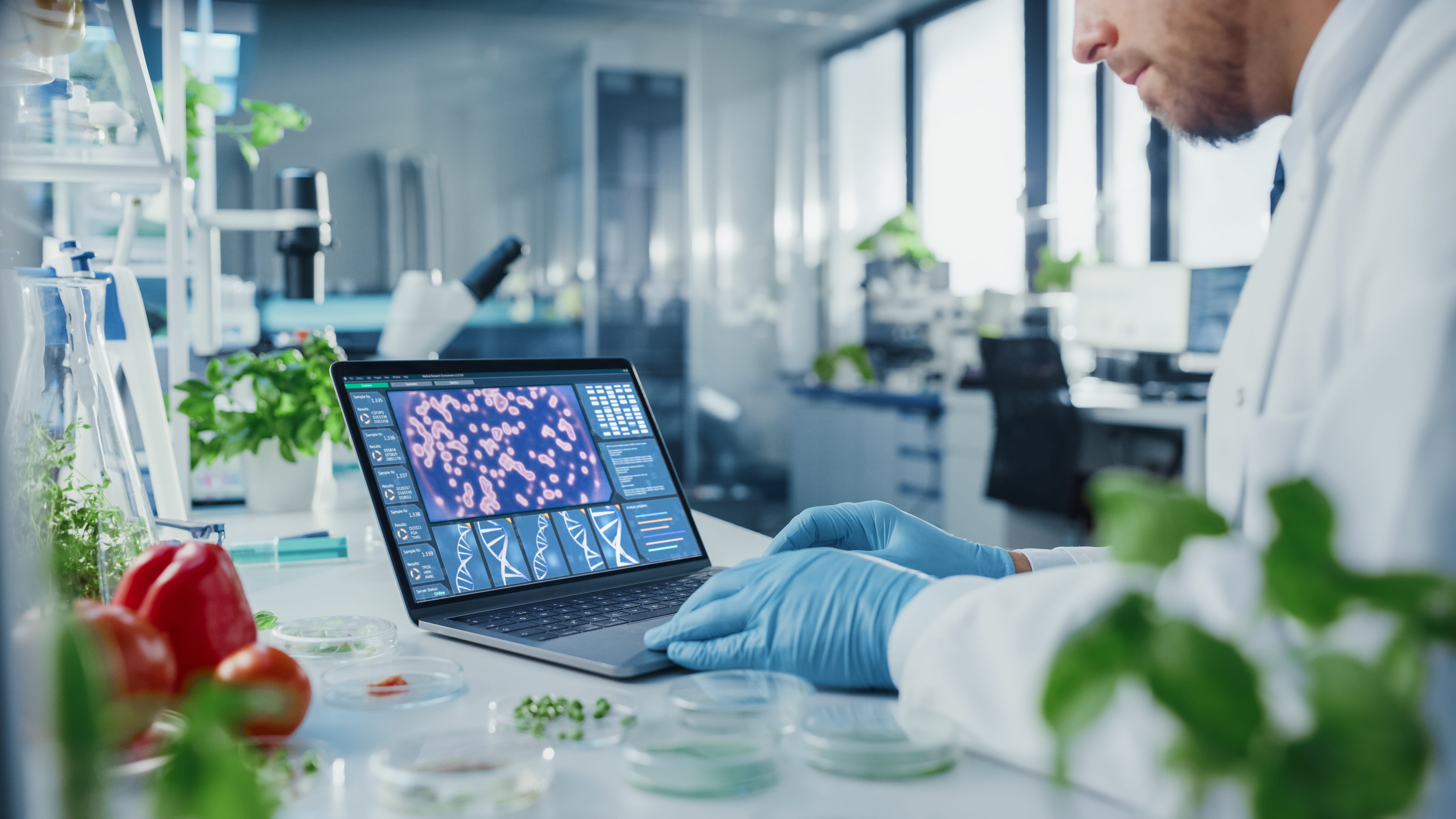 Researcher analyzing data on a laptop in a lab