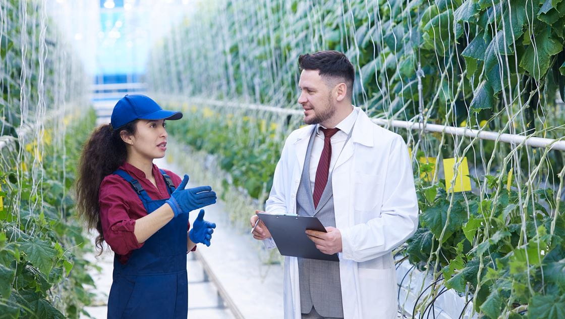 Photo of a worker and manager in discussion inside of an industrial greenhouse.